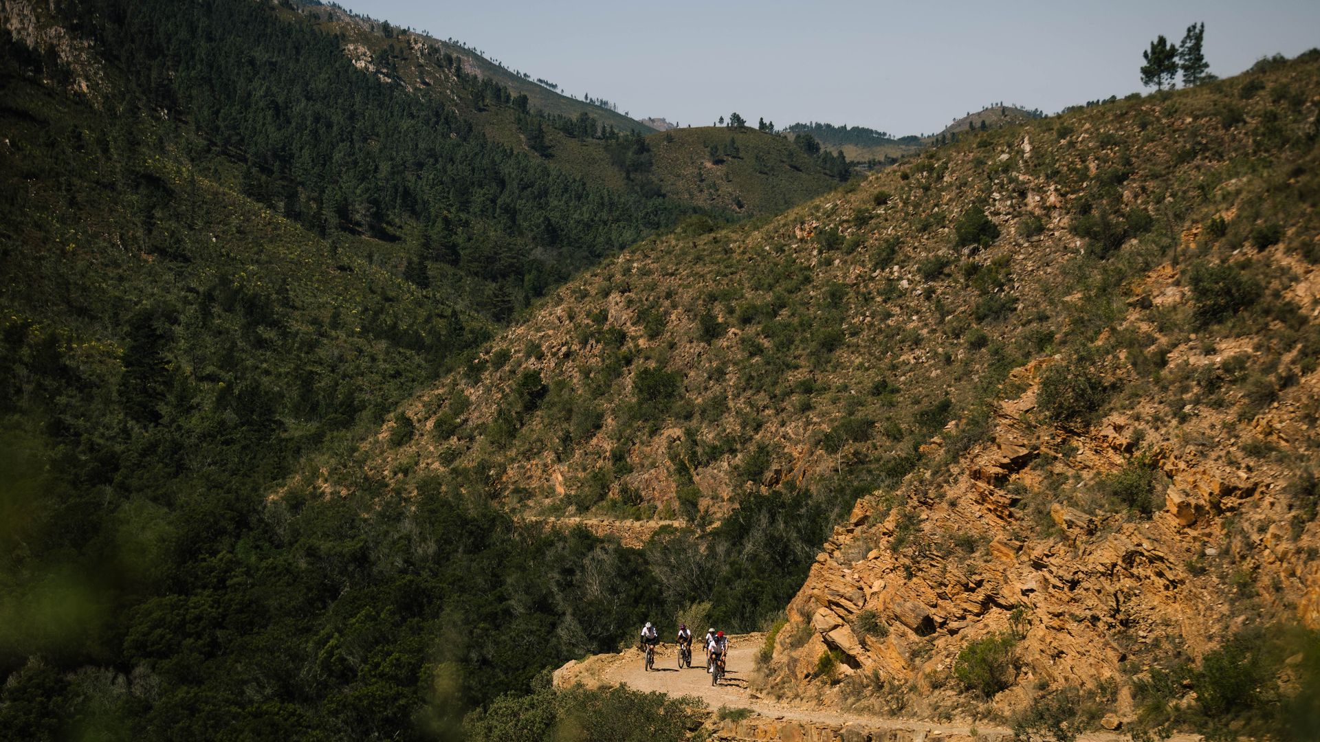 Nedbank Gravel Burn climb stage 1 Prince Alfred's Pass