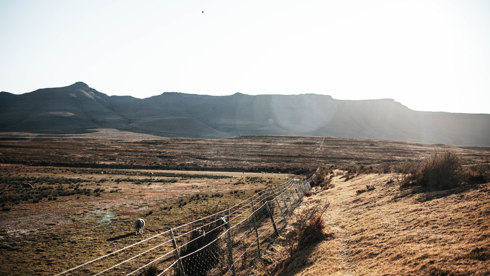 Stage 7 Landscape GB 3