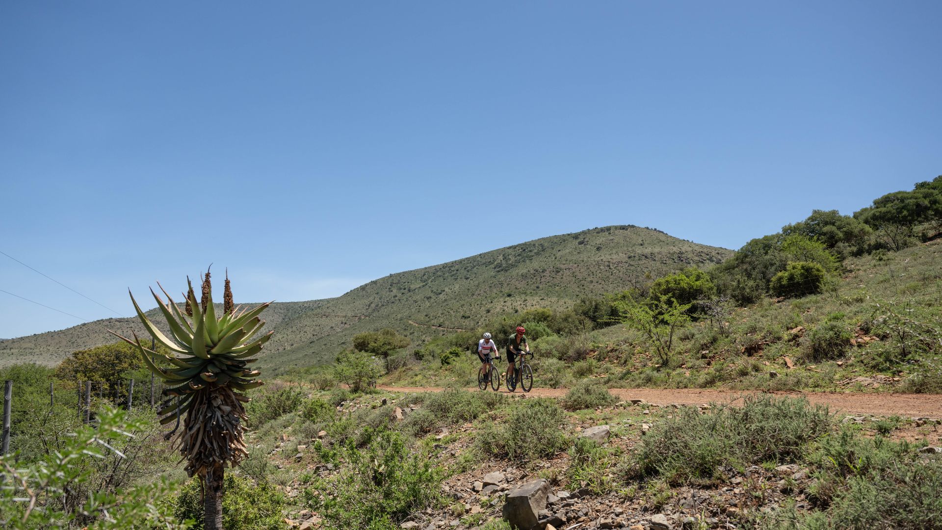 Nedbank Gravel Burn climbs Tarka Botha