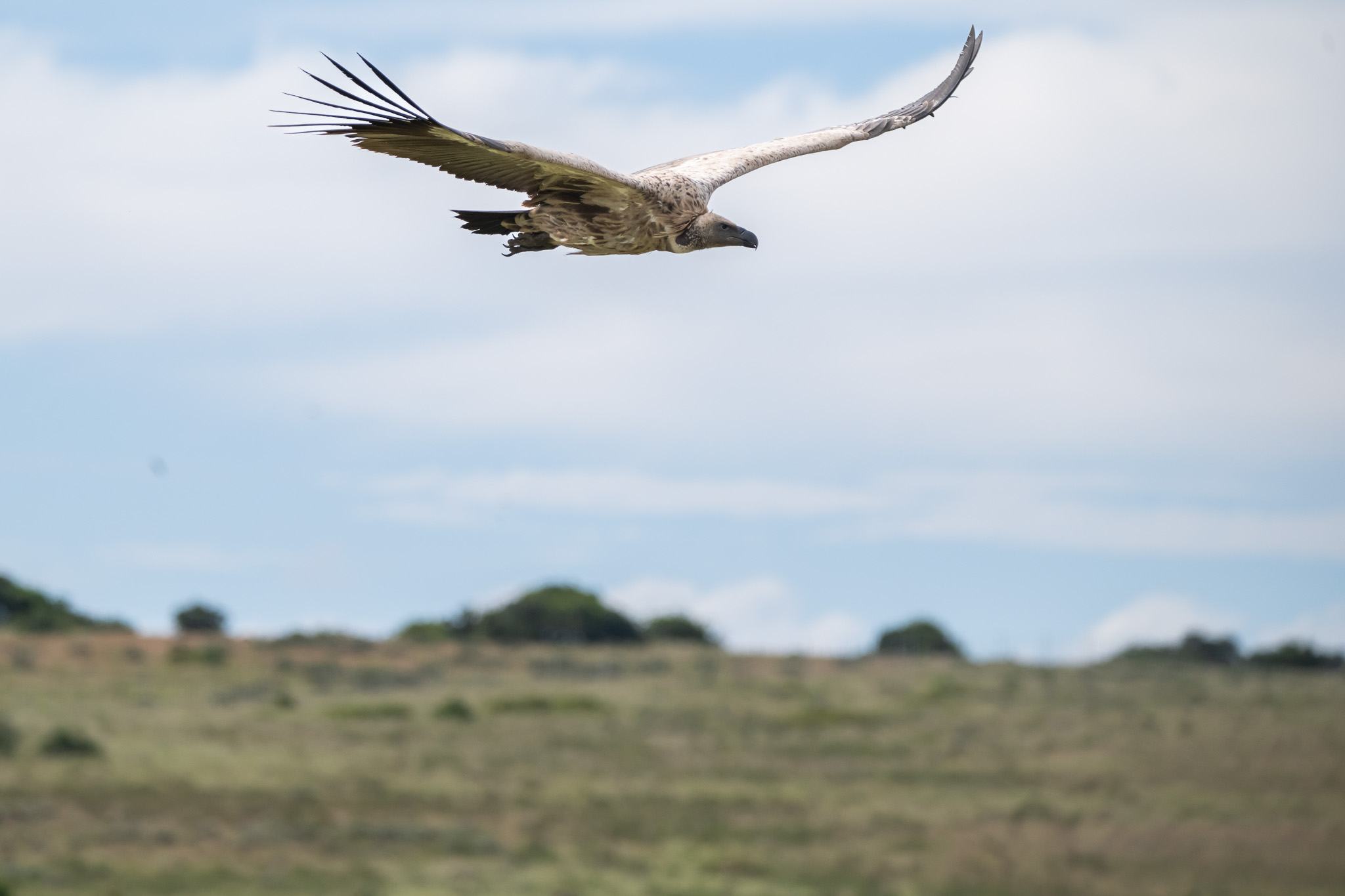Nedbank Gravel Burn partners vulpro