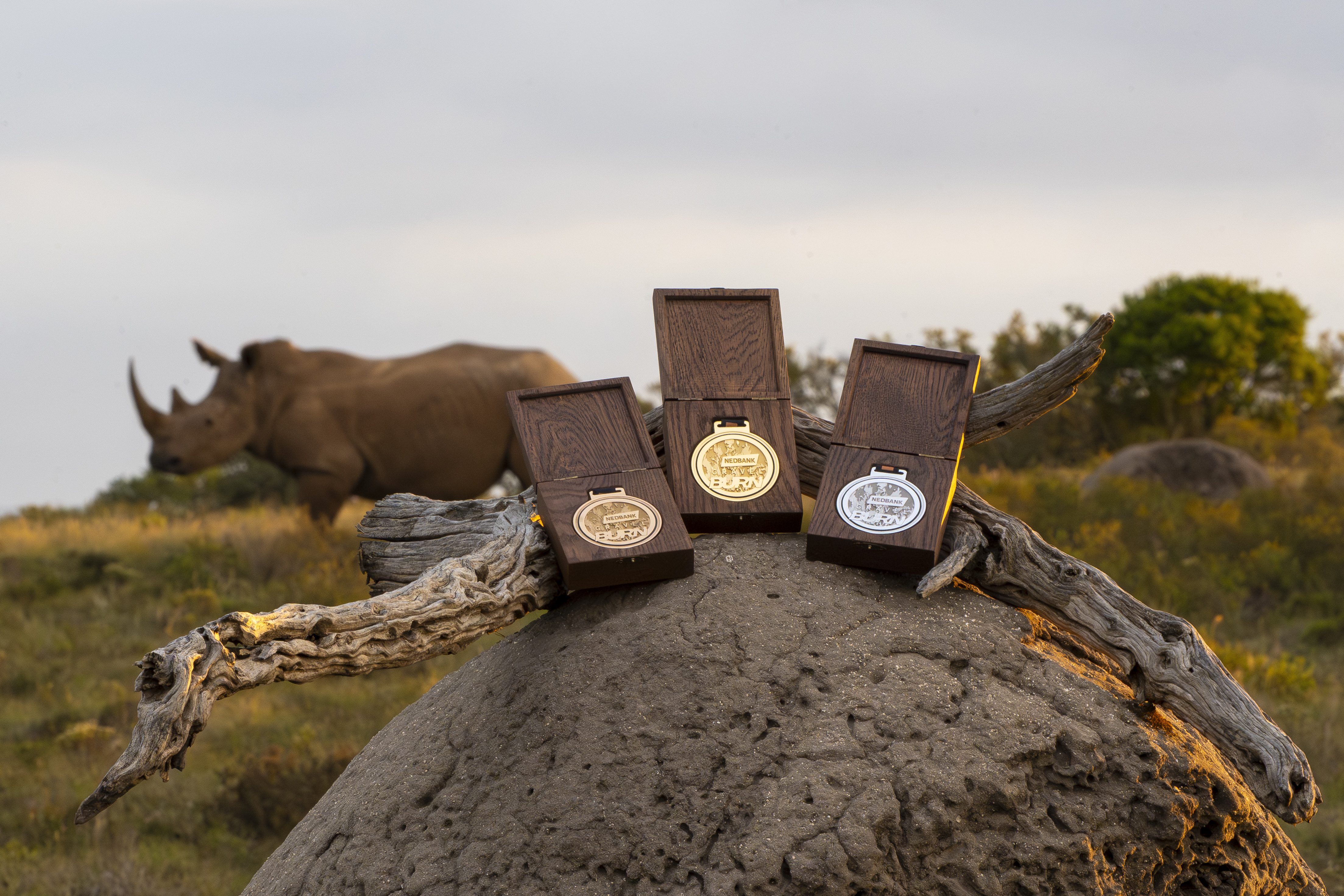 NGB 2026 Medals and Trophies